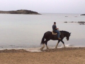 En person rider hest langs en strand med vand og en klippeformation i baggrunden.