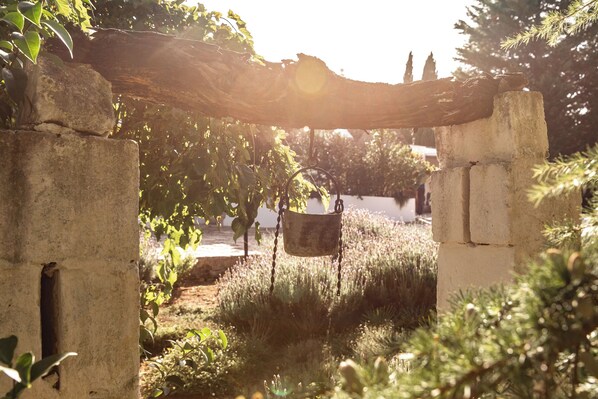 Property grounds - Dimora dei Semplici (Puglia)