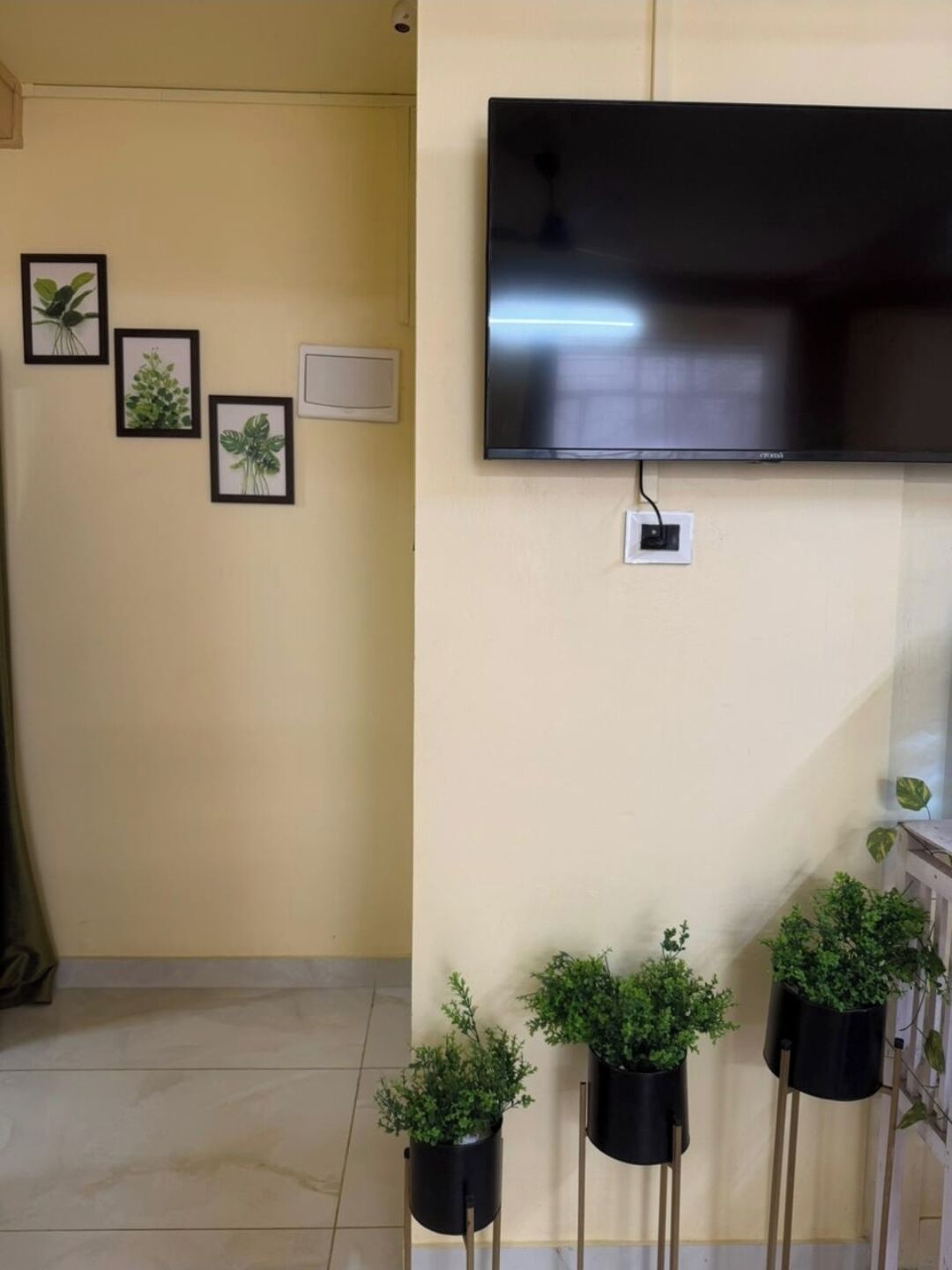 A living room with a mounted TV, three framed plant pictures, and three potted plants on stands.