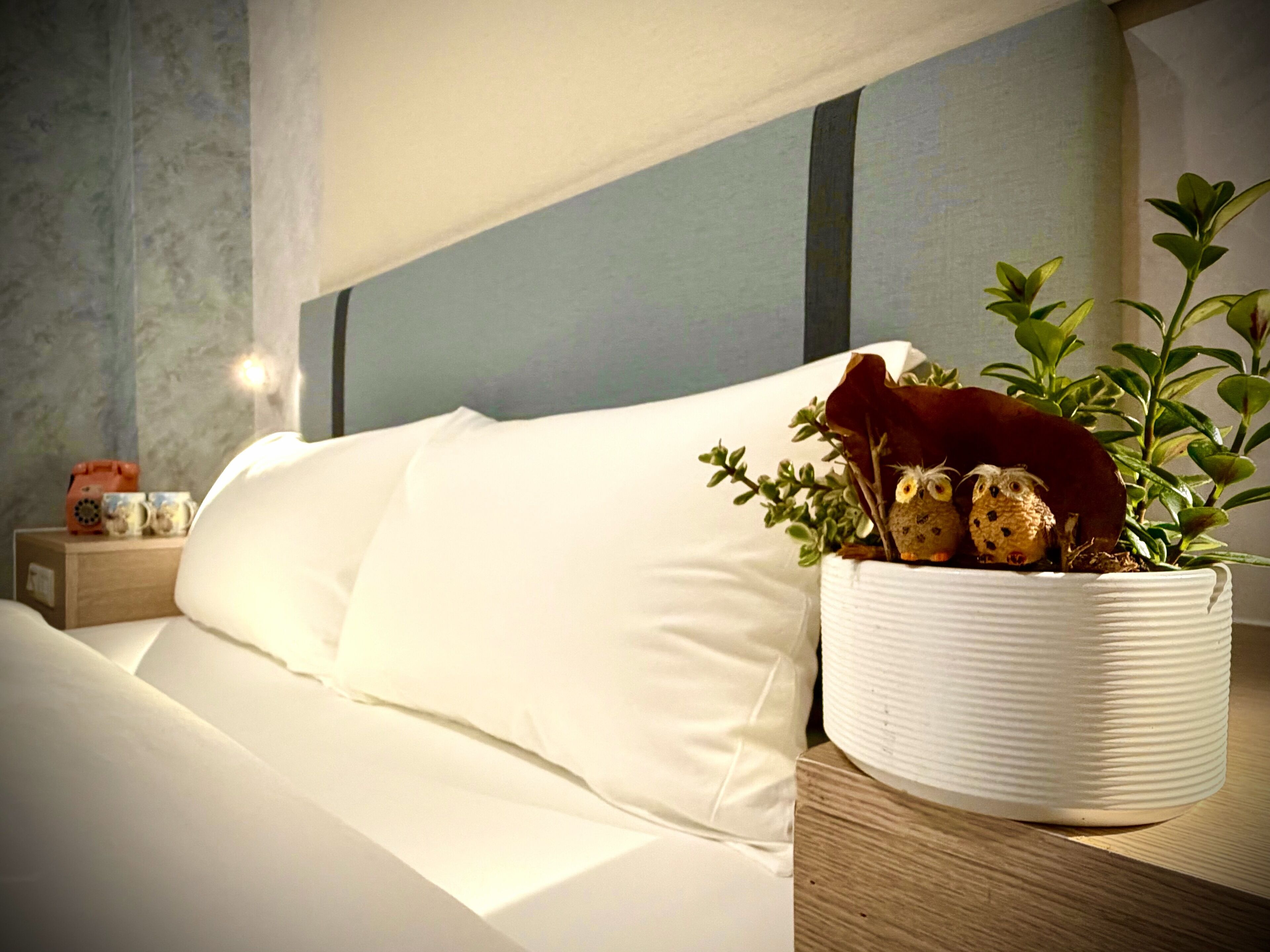 Phòng đôi Economy