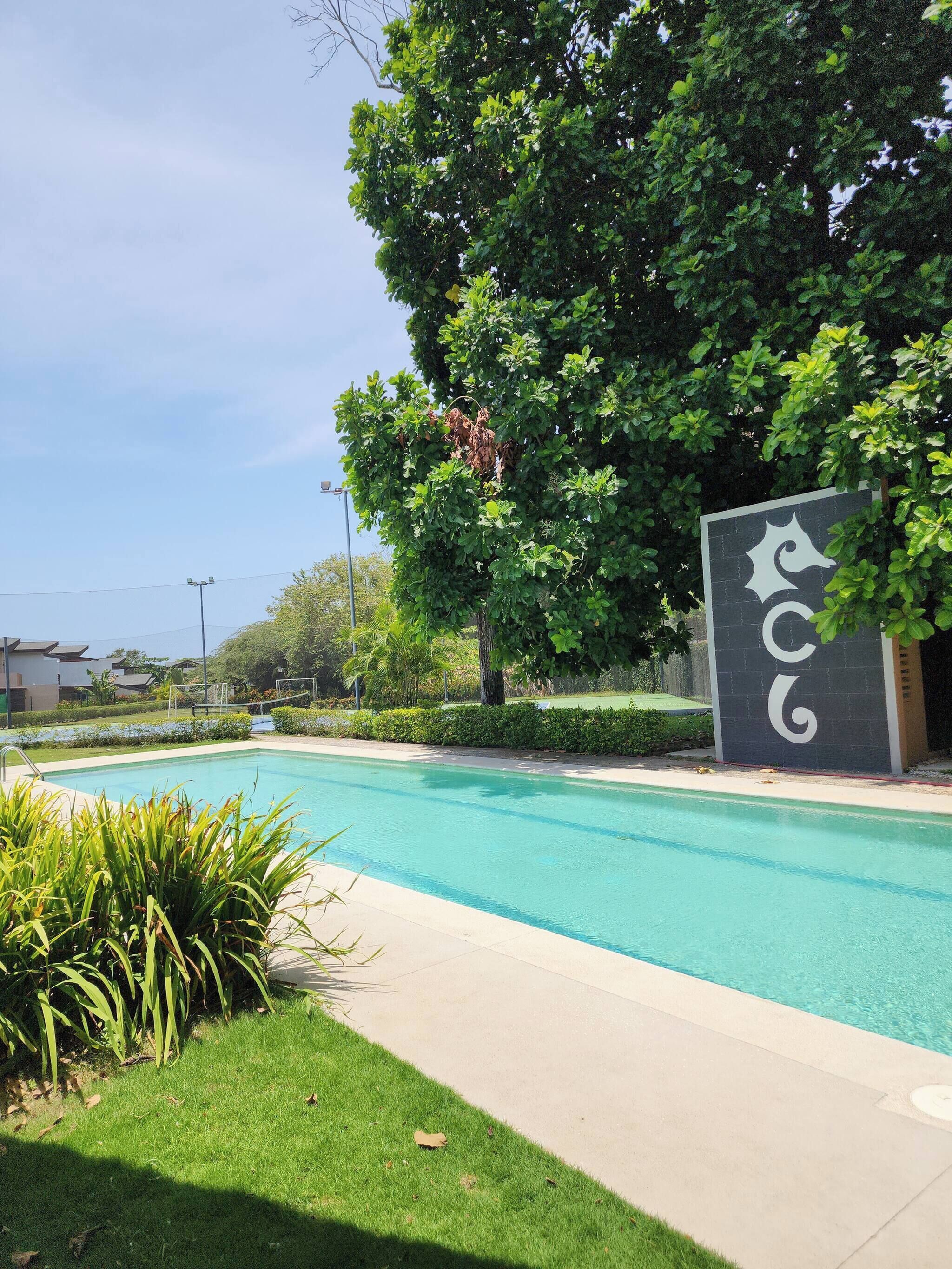 A swimming pool with a clear blue water, surrounded by well-maintained grass and plants.