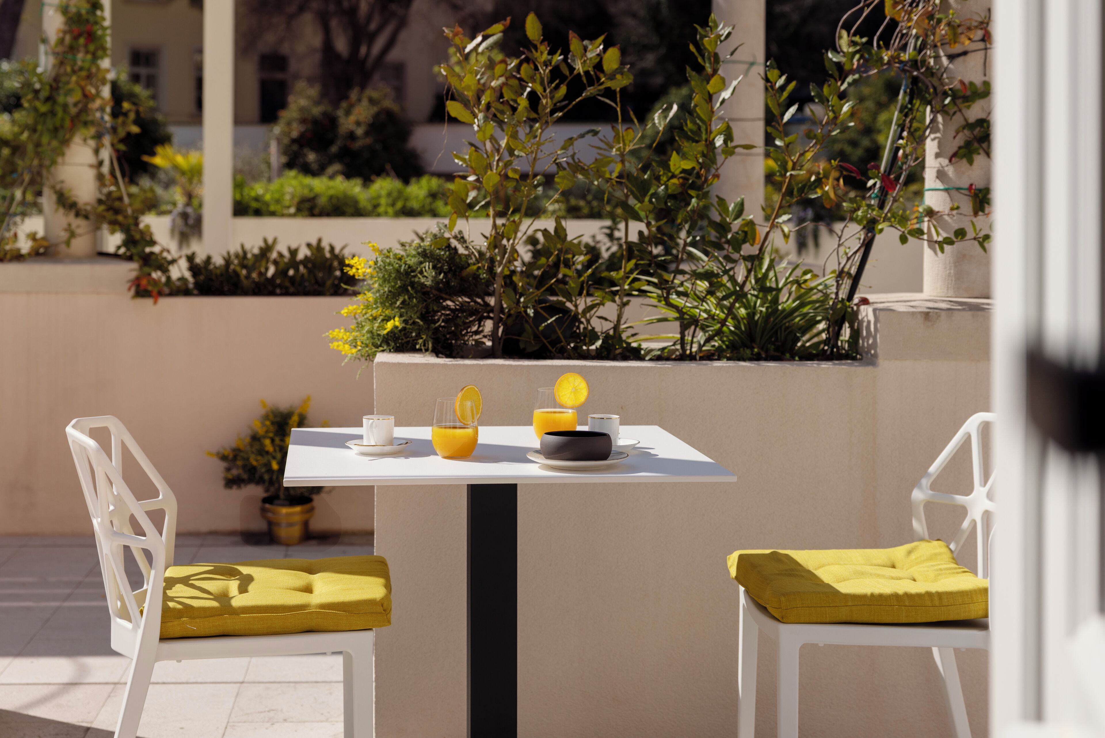 A table with chairs, a potted plant, and a glass of orange juice.