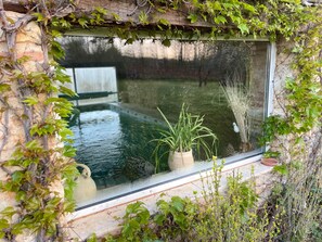 Une fenêtre donnant sur une piscine, entourée de verdure et de plantes.