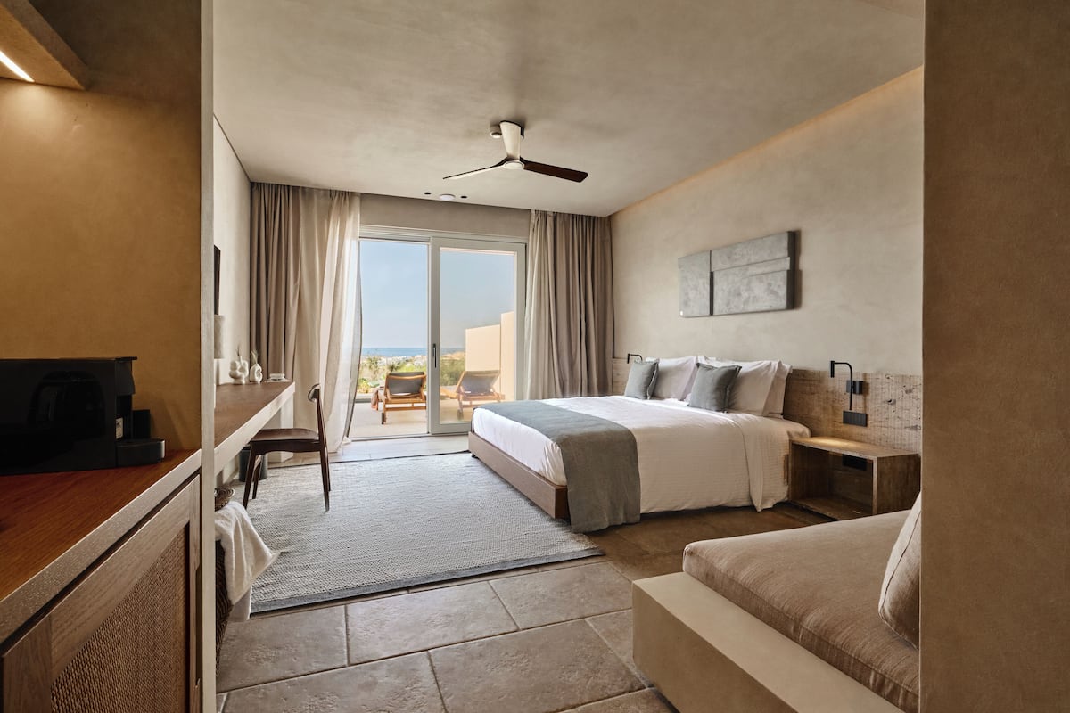 A hotel room with a bed, a desk, a chair, a sofa, a ceiling fan, and a view of the outdoors.