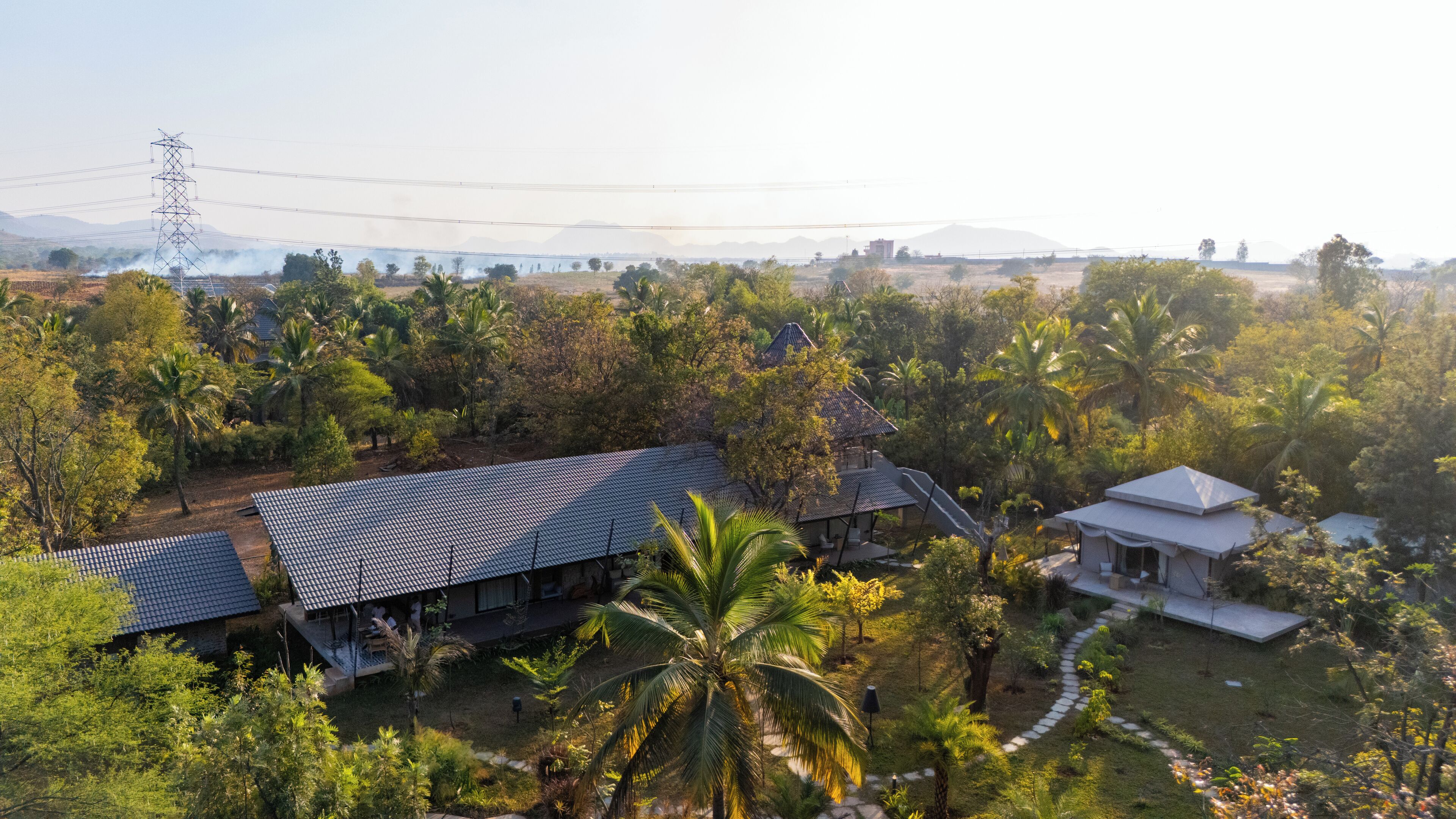 A residential area with houses surrounded by lush greenery and palm trees.