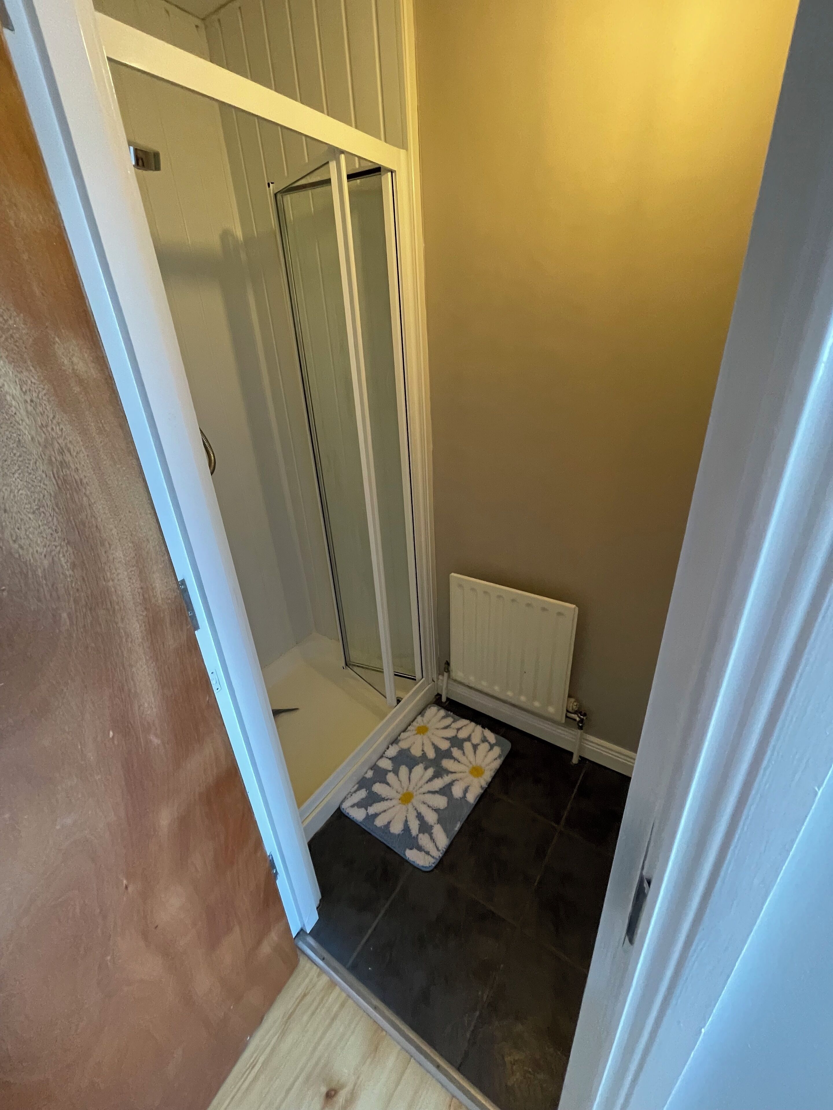 A bathroom with a shower, a radiator, and a blue and white floral mat.