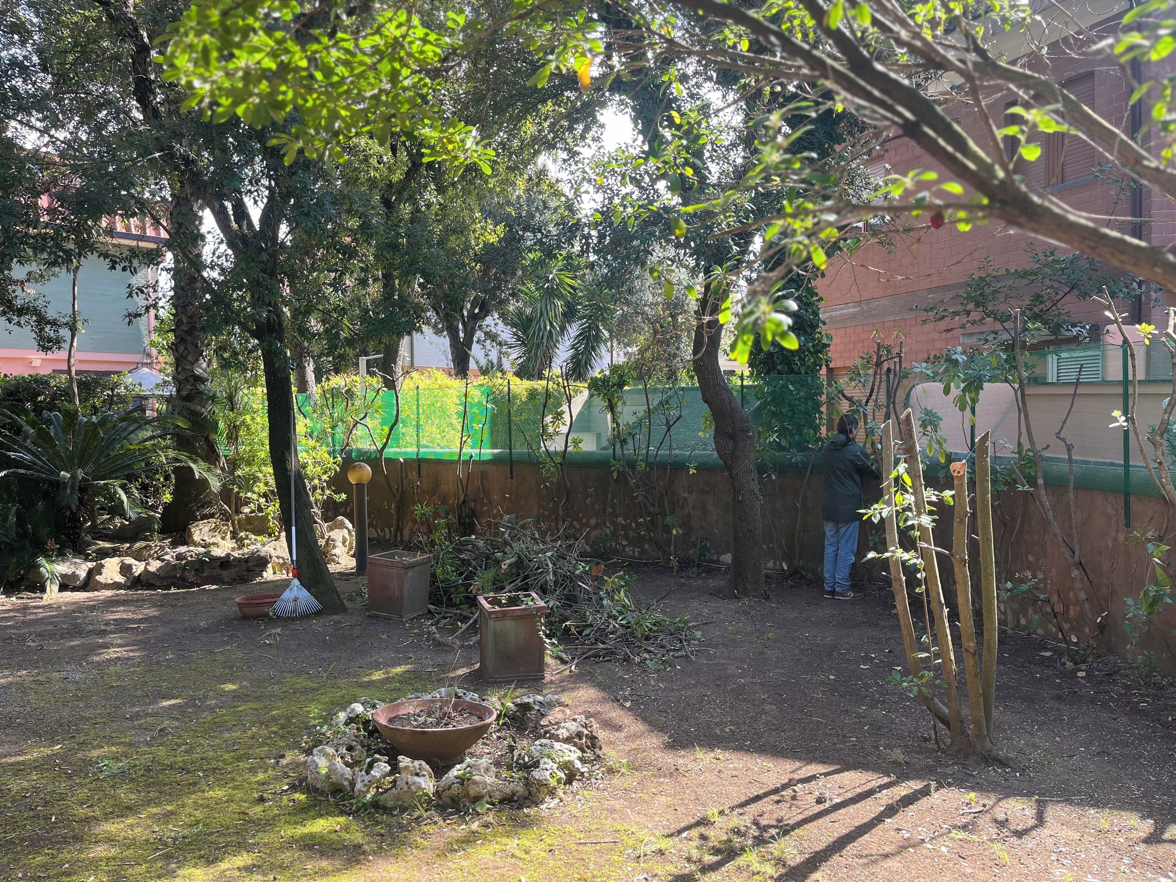 A garden with a variety of plants and trees, a stone wall, and a person standing near the wall.
