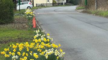 Room, 1 Bedroom, Fireplace | Exterior