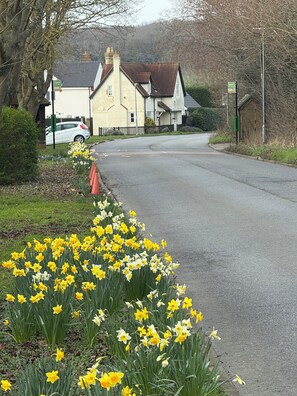 Room, 1 Bedroom, Fireplace | Exterior - Room-tranquil Guest Room Retreat in Sils (Bedford)