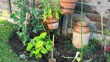 Shared Dormitory, 1 Bedroom | Garden