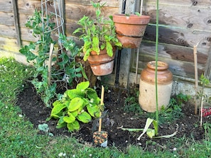 Shared Dormitory, 1 Bedroom | Garden - Room-the Woodland View Room (Bedford)