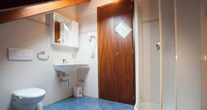 Cozy apartment 5 minutes from the Center and the Pine Forest. Pets allowed