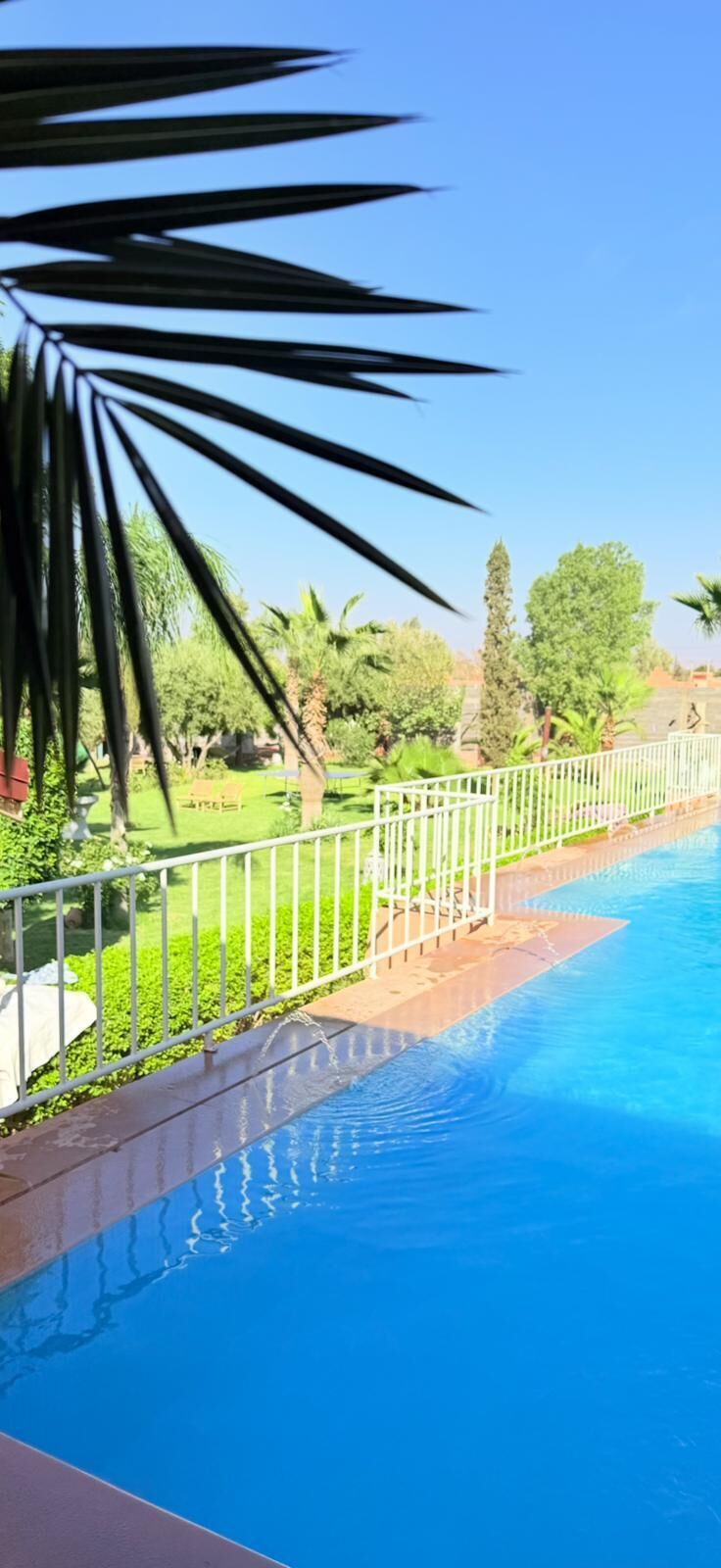 A swimming pool with a metal railing, surrounded by greenery and trees.