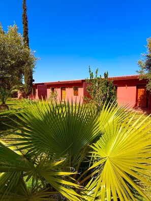Exterior - Domaine JJ (Sidi Abdallah Ghiat)