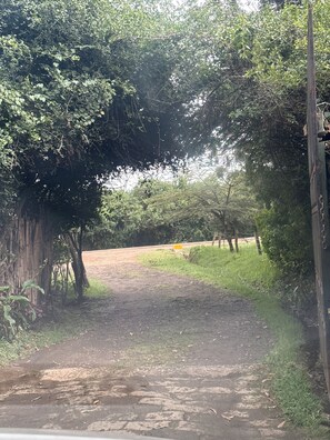 Property grounds - Karen Studio Nairobi (Nairobi)