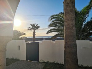 Blick auf einen Strand mit Palmen und einer Steinmauer.