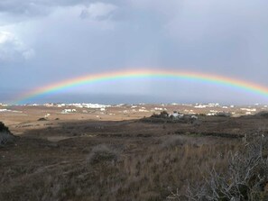 รูปภาพที่ไม่ได้จัดประเภท, 3 จาก 6, ปุ่ม