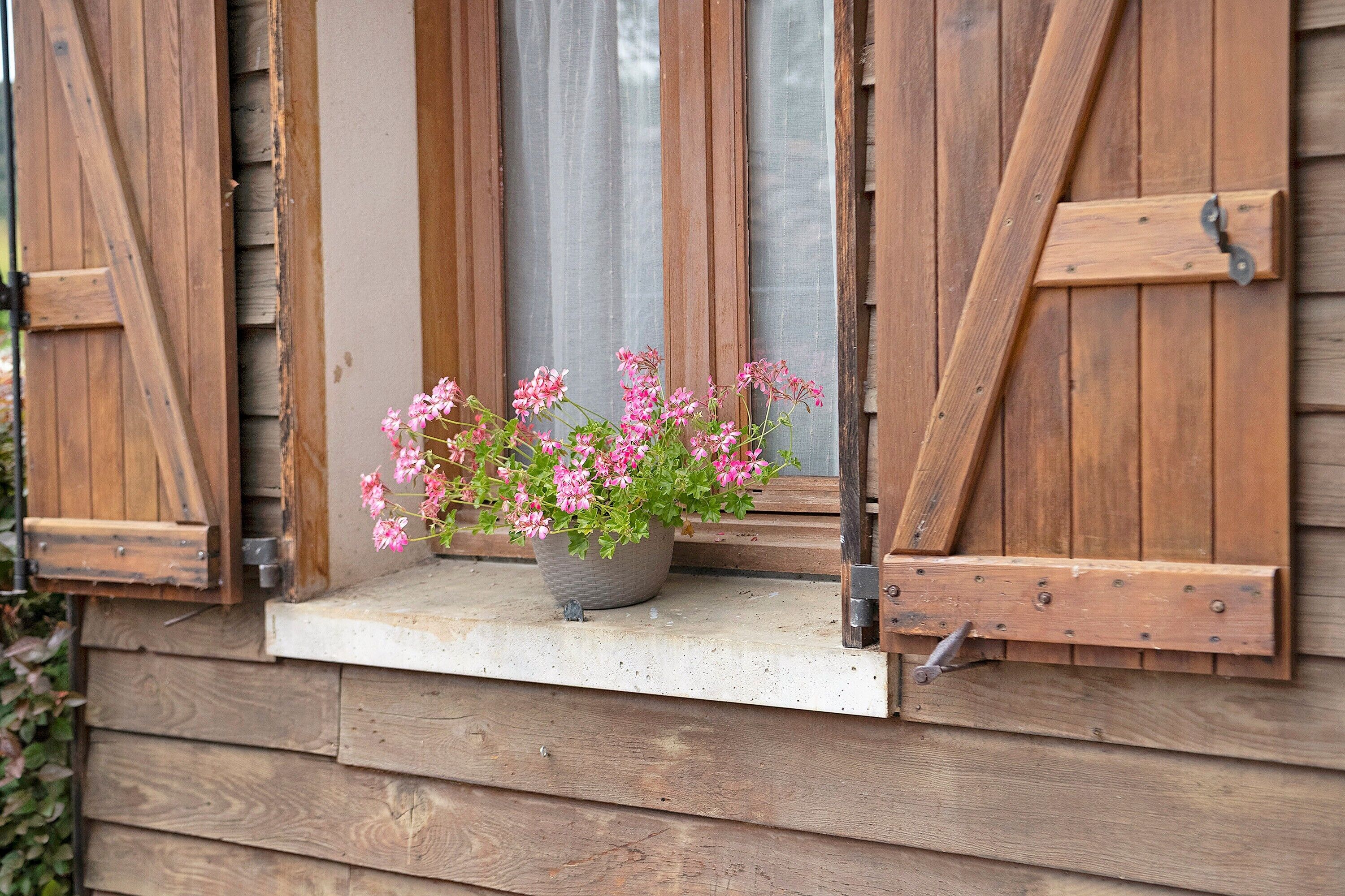 Una ventana de madera con una planta en el alféizar.