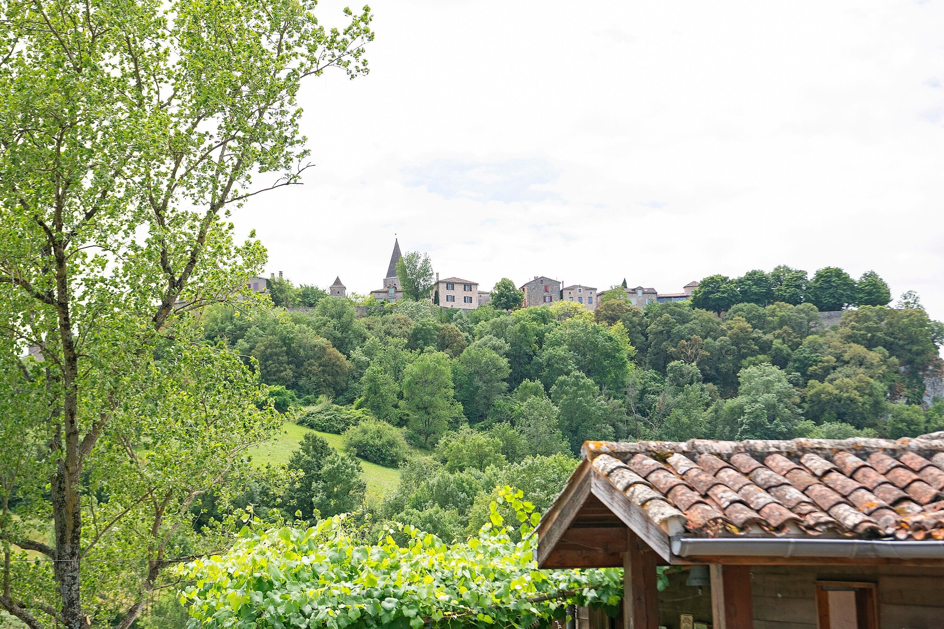 A rural landscape with a traditional building featuring a tiled roof, surrounded by lush greenery and a hill with houses in the background.