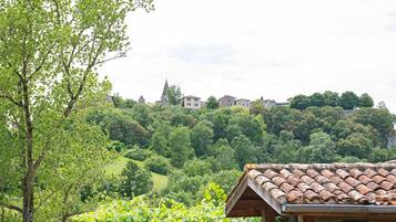 A rural landscape with a traditional building featuring a tiled roof, surrounded by lush greenery and a hill with houses in the background.