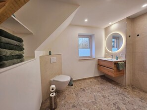 Shower, hair dryer, soap, toilet paper