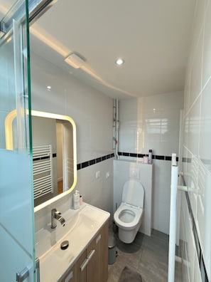 A modern bathroom with a glass shower enclosure, a white toilet, and a vanity with a mirror. - Royal Crown Apartment With Royal Garden (Le Bourget)