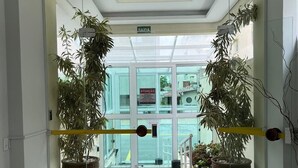 Un corridoio con una porta in vetro che dà su una stanza luminosa, piante in vaso su entrambi i lati e un cartello che indica l'uscita.