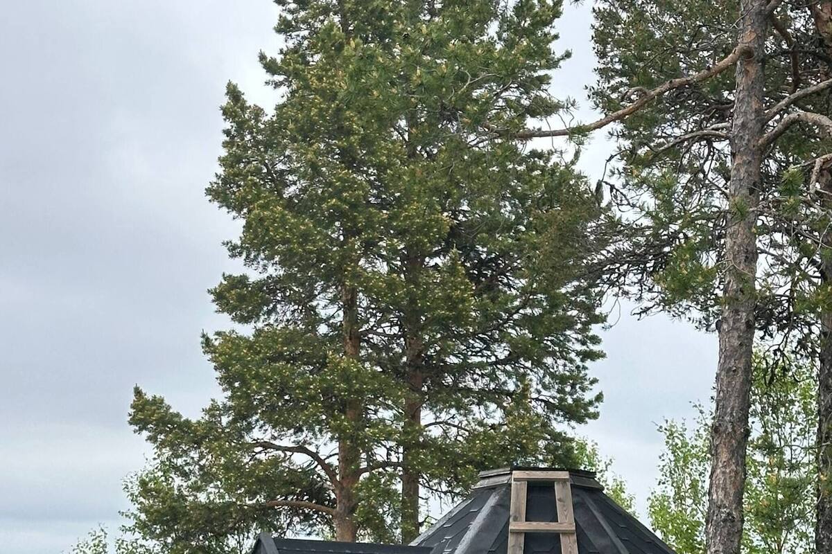 Hus - 1 sovrum - utsikt mot trädgården