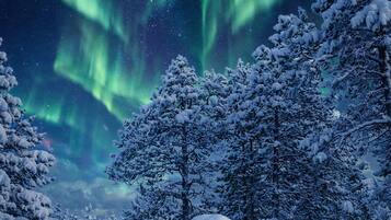 Hus - 1 sovrum - utsikt mot trädgården | Exteriör