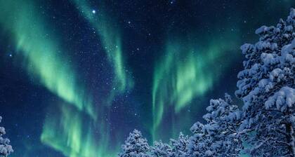 Camp Caroli Hobbit Hut