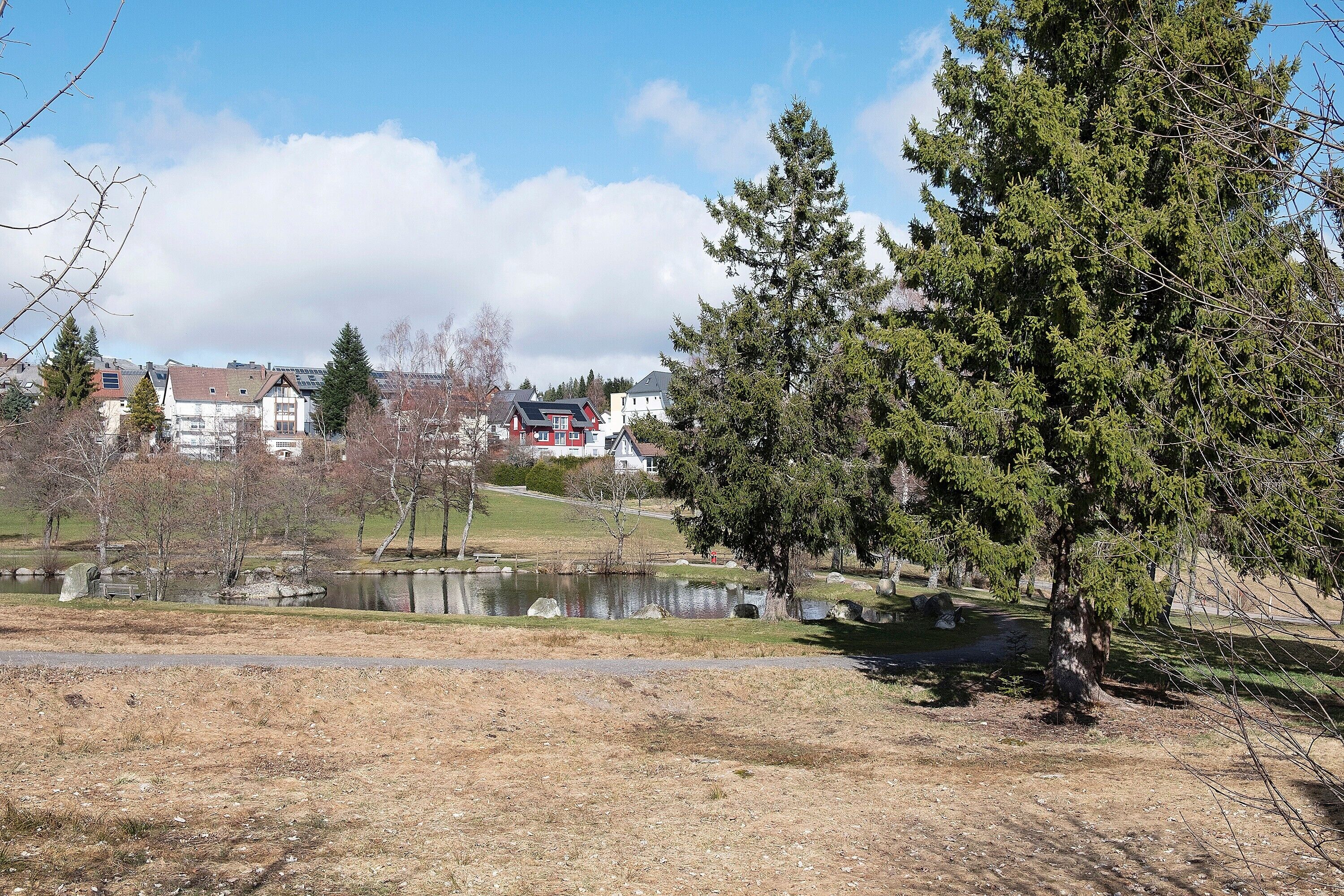 A park with a pond, trees, and buildings in the background.
