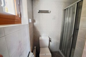 A bathroom with a toilet, a shower, and a window. - One-Bedroom Apartment in Leventina (Alaska Apartment) (Molare - Carí)