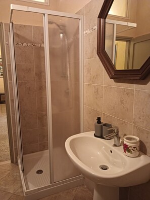 Shower, hair dryer, bidet, towels