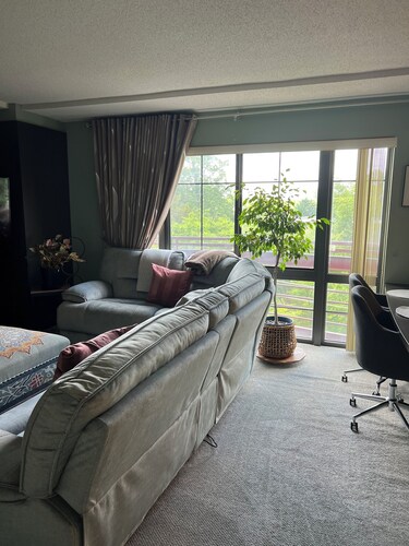 2-bedroom condo in charming Silver Spring with AC and fitness room