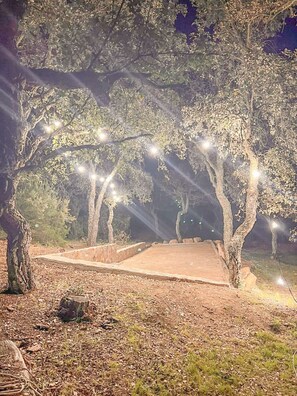 A nighttime outdoor area with trees, a concrete pathway, and string lights. - Villa 200m², 10 p, 5ch, AC, Piscine, Forêt privée (Saint-Paul-en-Forêt)