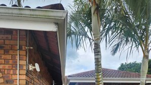 Una casa in mattoni con una porta blu, un'antenna parabolica e un piccolo giardino con palme e piante.