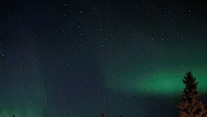 A red cabin with a door and windows, surrounded by snow and trees, under a starry night sky with the aurora borealis. - Camp Caroli Family House (Jukkasjarvi)