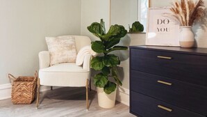 A room with a white sofa, a large green plant, a dark dresser, and a mirror with a gold frame. - Newly remodeled 3 bedroom, 1.5 bath home with a river view in downtown Elkhart.  (Elkhart)