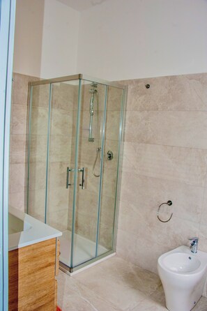 Shower, hair dryer, bidet, towels