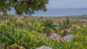 Unclassified image, 5 of 108, button - Crystal Jamaica Villa Tours (Montego Bay)