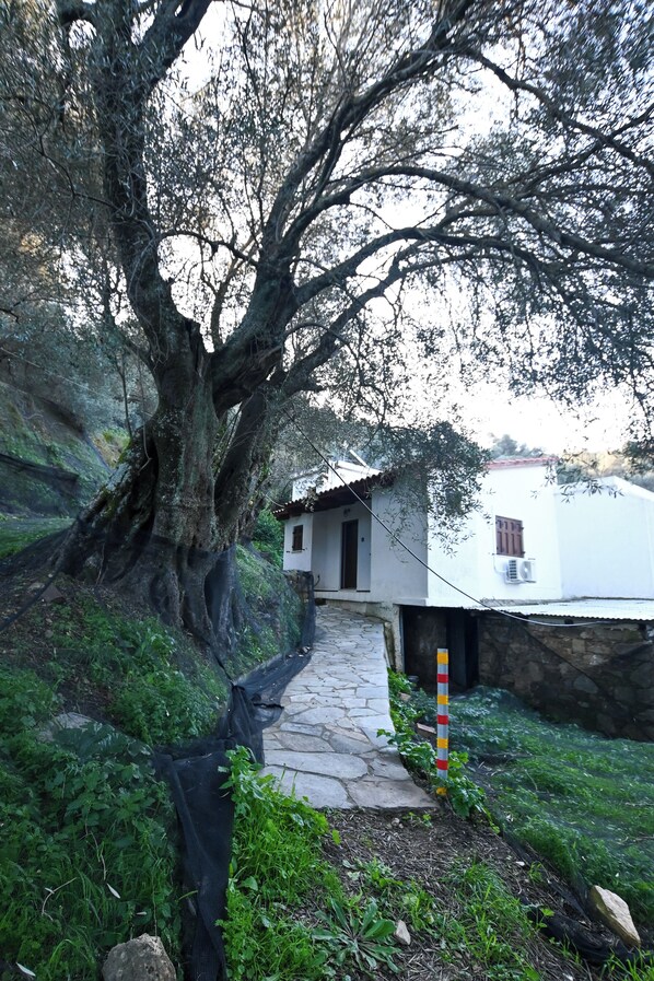 Imagen sin descripción, 1 de 23, botón