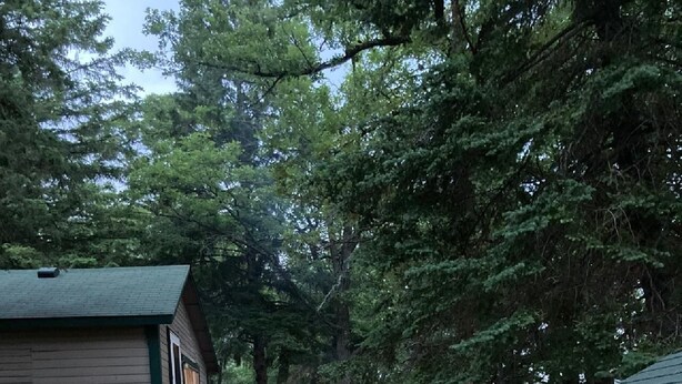A wooden cabin with a porch and a fire pit area with benches. - cabin 4 at pleasant ridge resort1bed 1bath lake front on 2nd crow wing lake (Menahga)