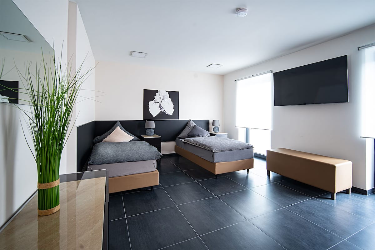 Een moderne slaapkamer met twee bedden, een groot raam, een flatscreen televisie en een potplant.
