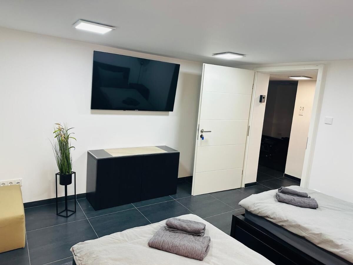 Una habitación de hotel moderna con televisión de pantalla plana, una planta pequeña, un escritorio y dos camas con toallas.