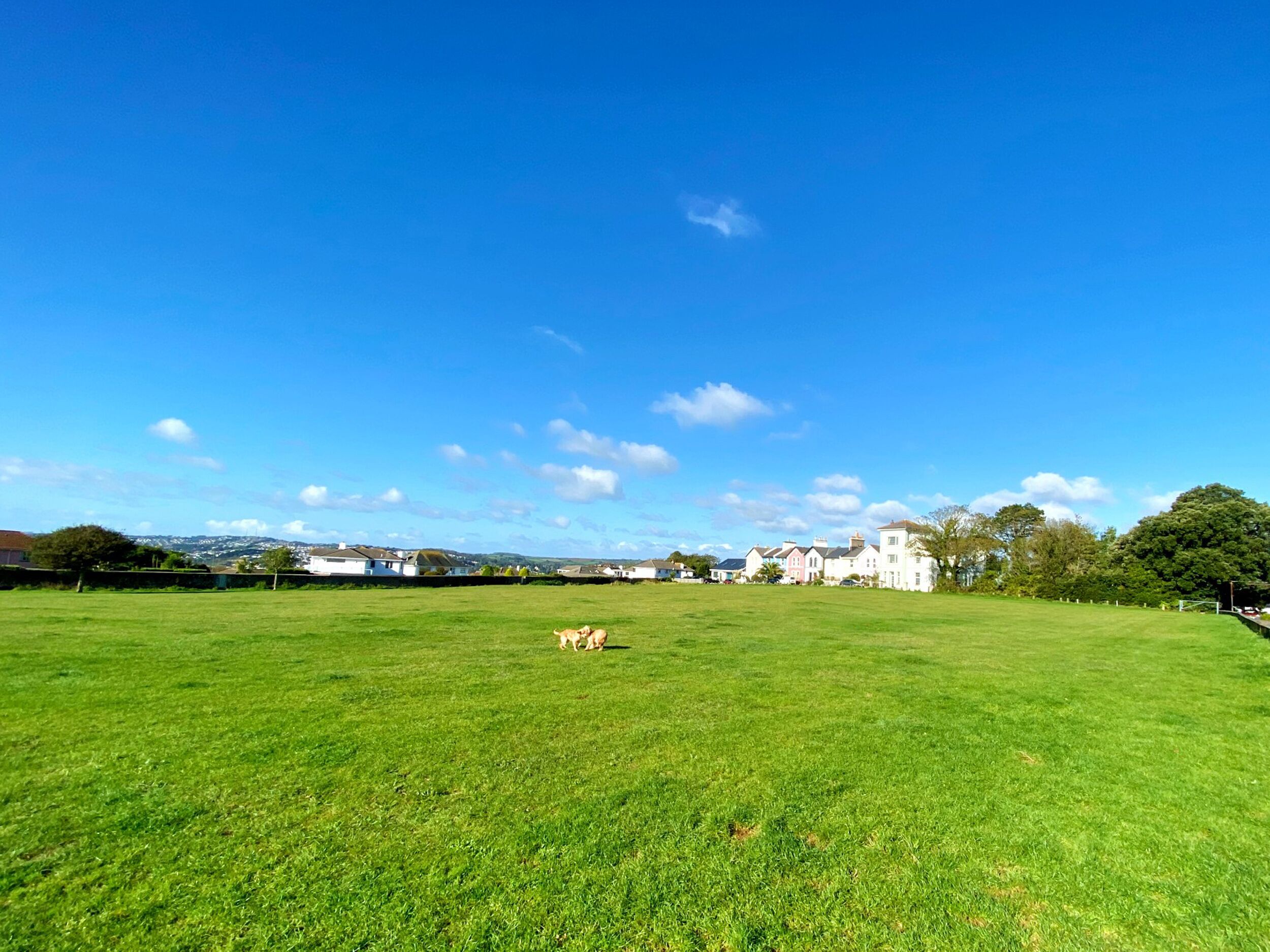 A large, open grassy field with a few buildings in the distance under a clear blue sky.
