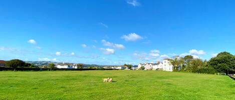 A large, open grassy field with a few buildings in the distance under a clear blue sky.