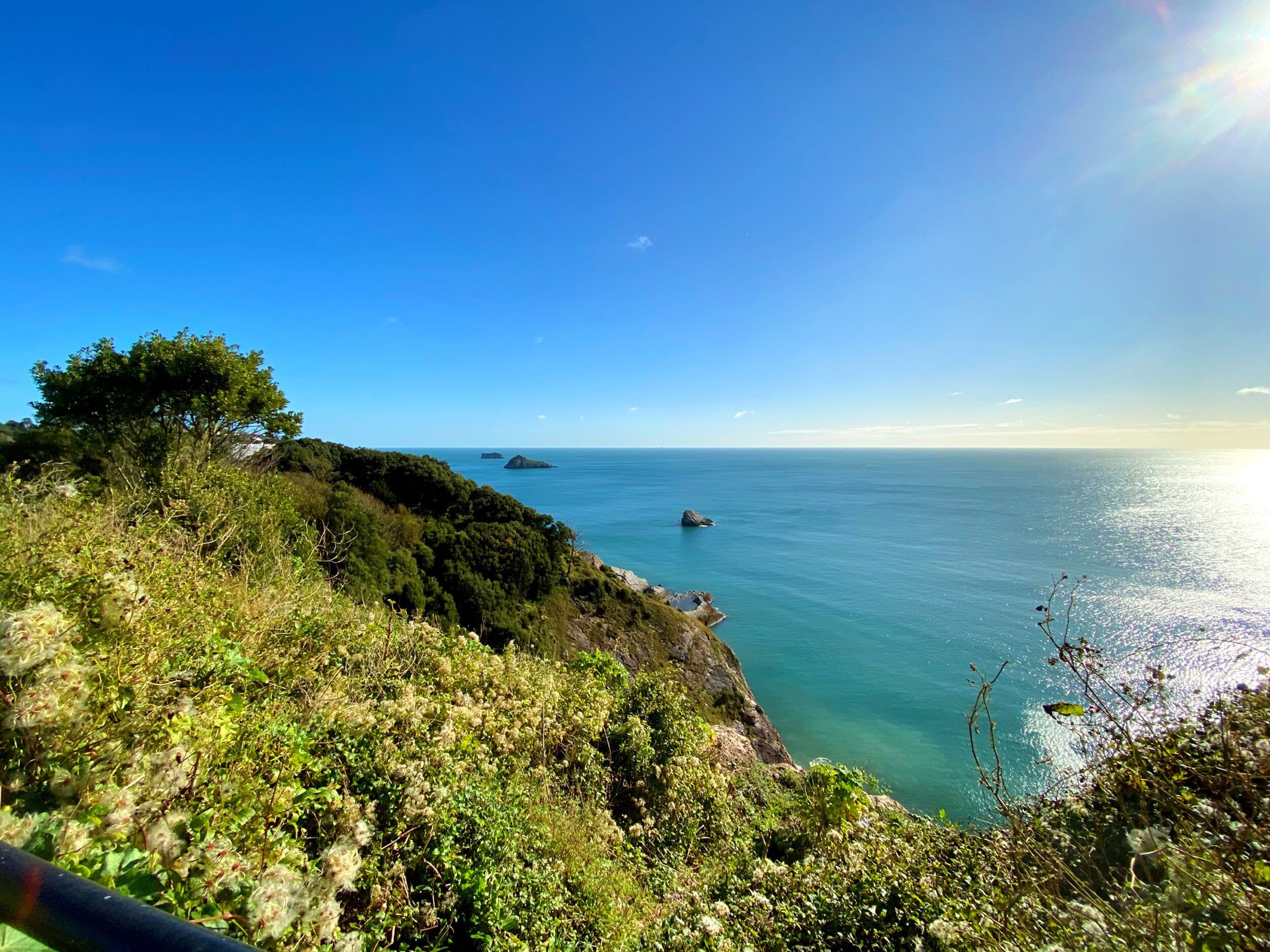 A coastal landscape with lush greenery and a clear view of the sea.