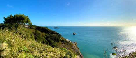 A coastal landscape with lush greenery and a clear view of the sea.