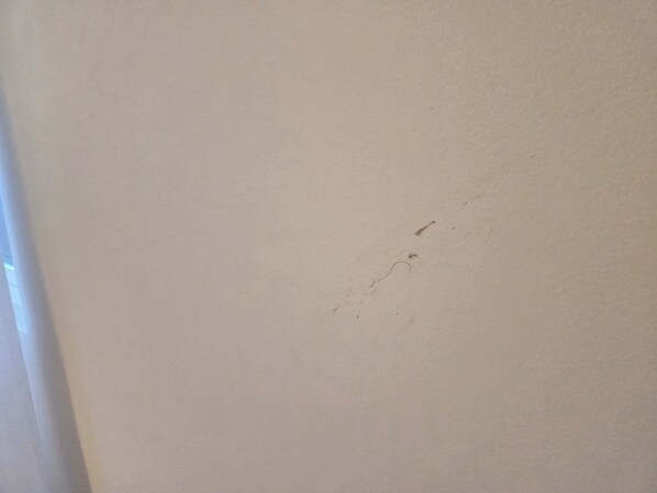 Immagine non classificata, 1 di 11, pulsante