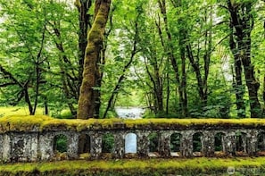 A stone bridge with arches in a forested area.